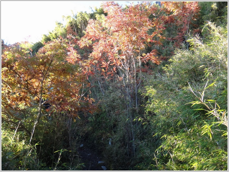 2011-10-26 06-33-50再回首三六九.JPG